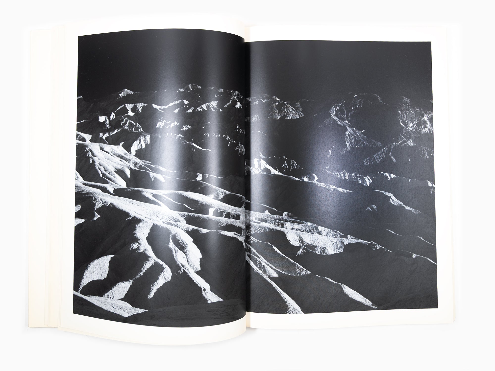 Maurizio Cattelan - Le Dictateur 02