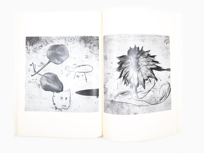 Maurizio Cattelan - Le Dictateur 02