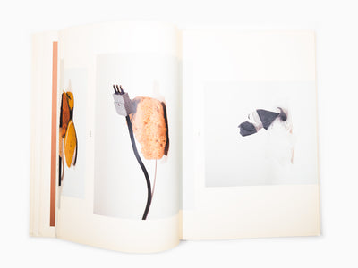 Maurizio Cattelan - Le Dictateur 03