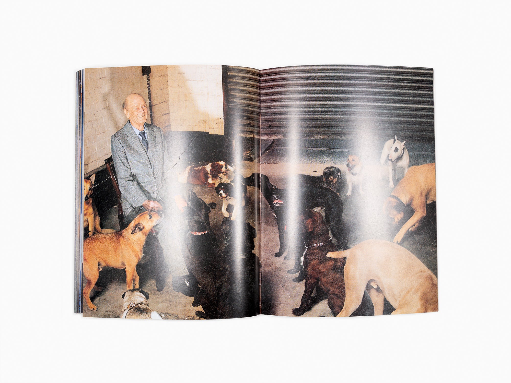 Permanent Food n°9 (hache)