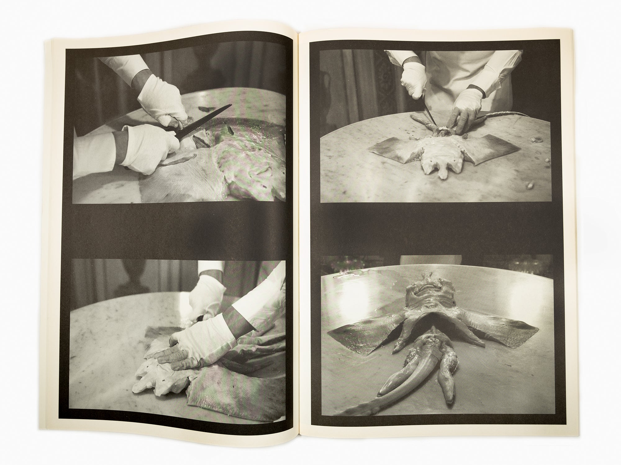 Maurizio Cattelan - Le Dictateur: Solid Sweat