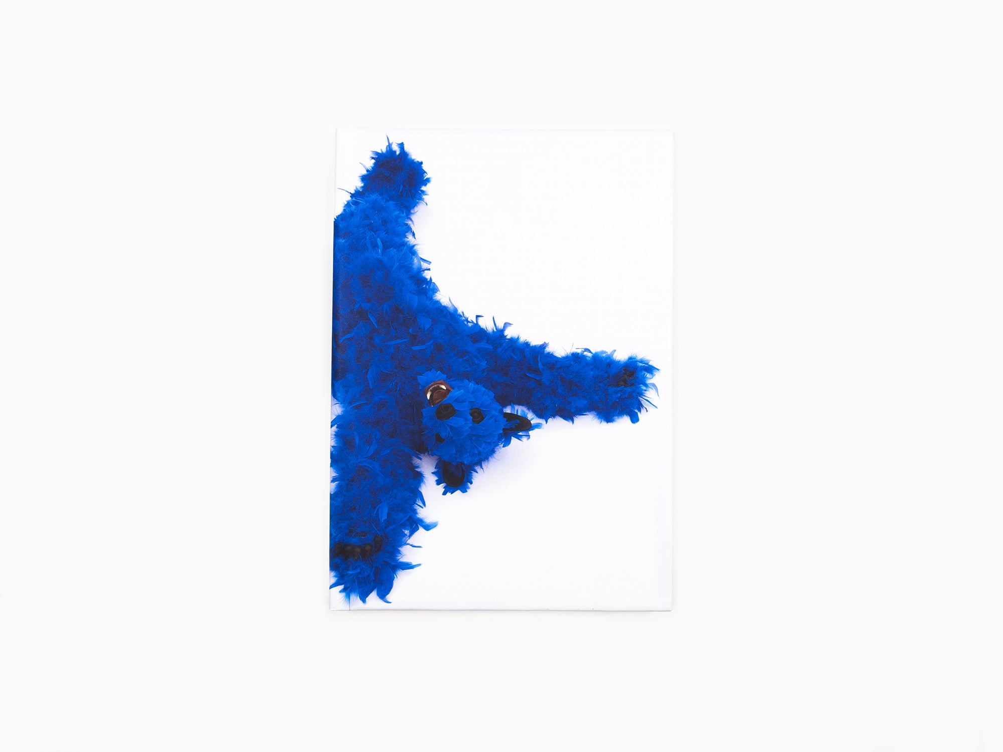 Paola Pivi - Baby Bear Journal (Blue)