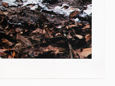 Paola Pivi - Fffffffffffffffff one