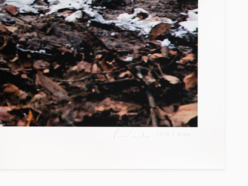 Paola Pivi - Fffffffffffffffff one