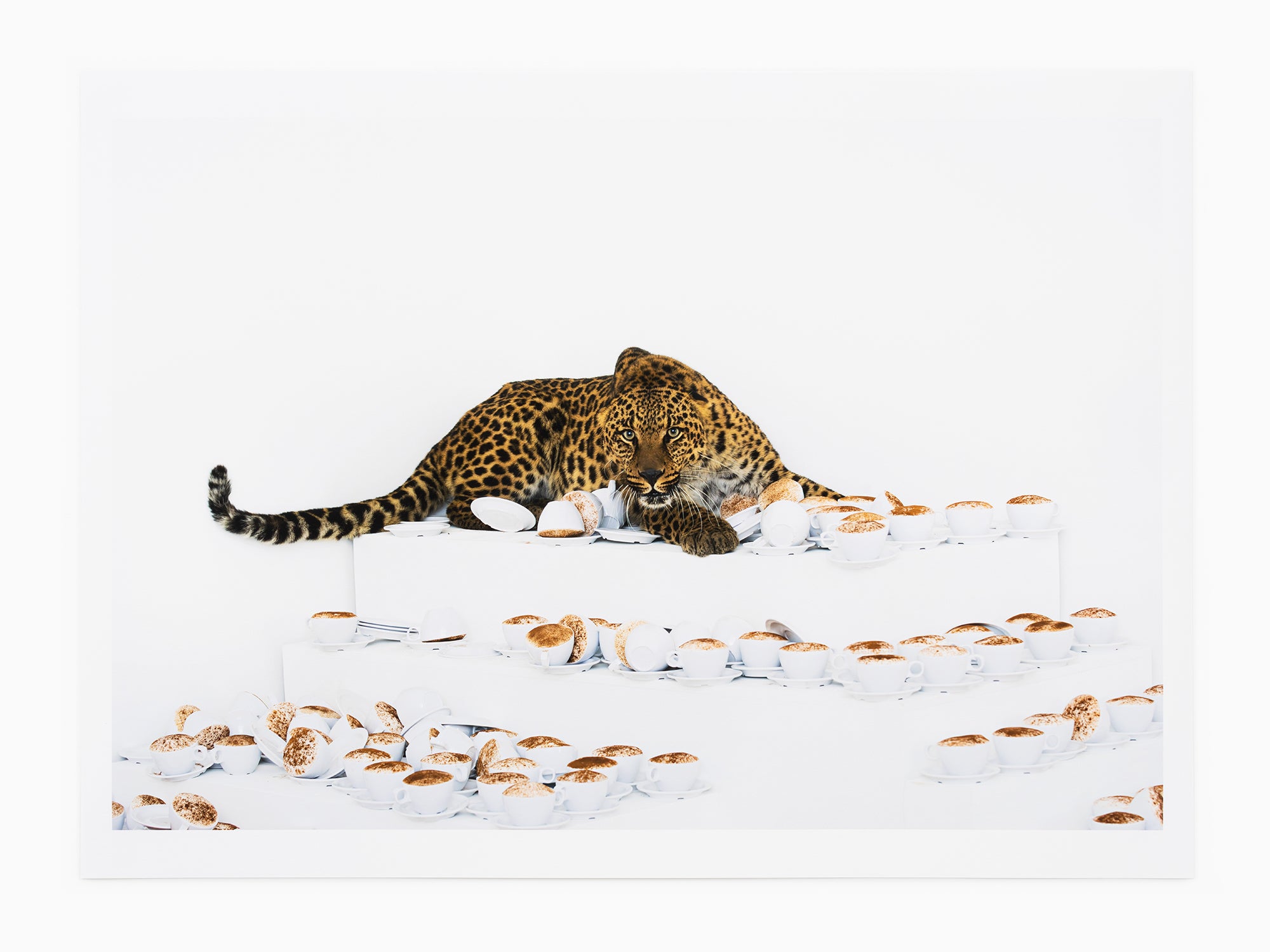 Paola Pivi - Combien encore