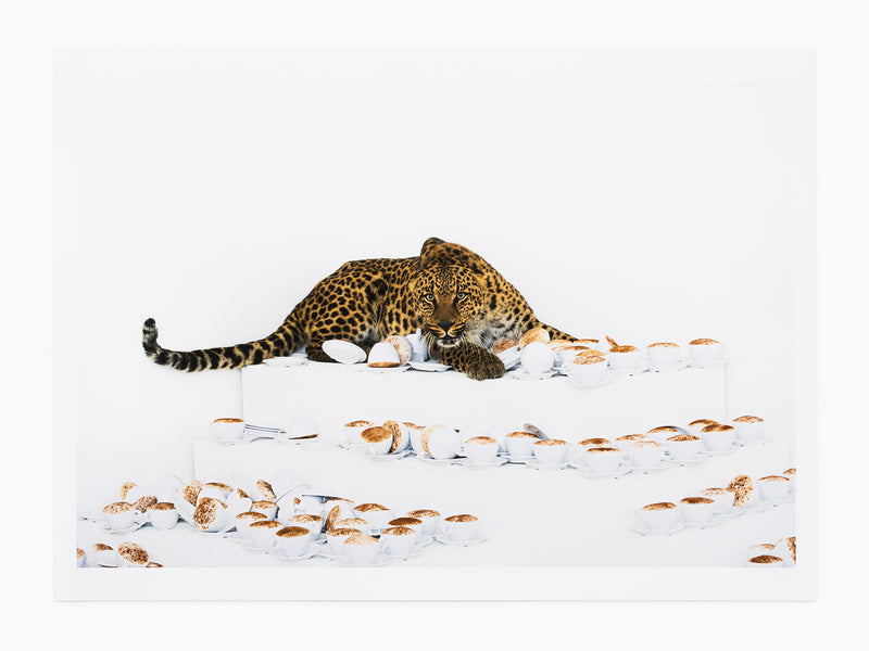 Paola Pivi - Combien encore