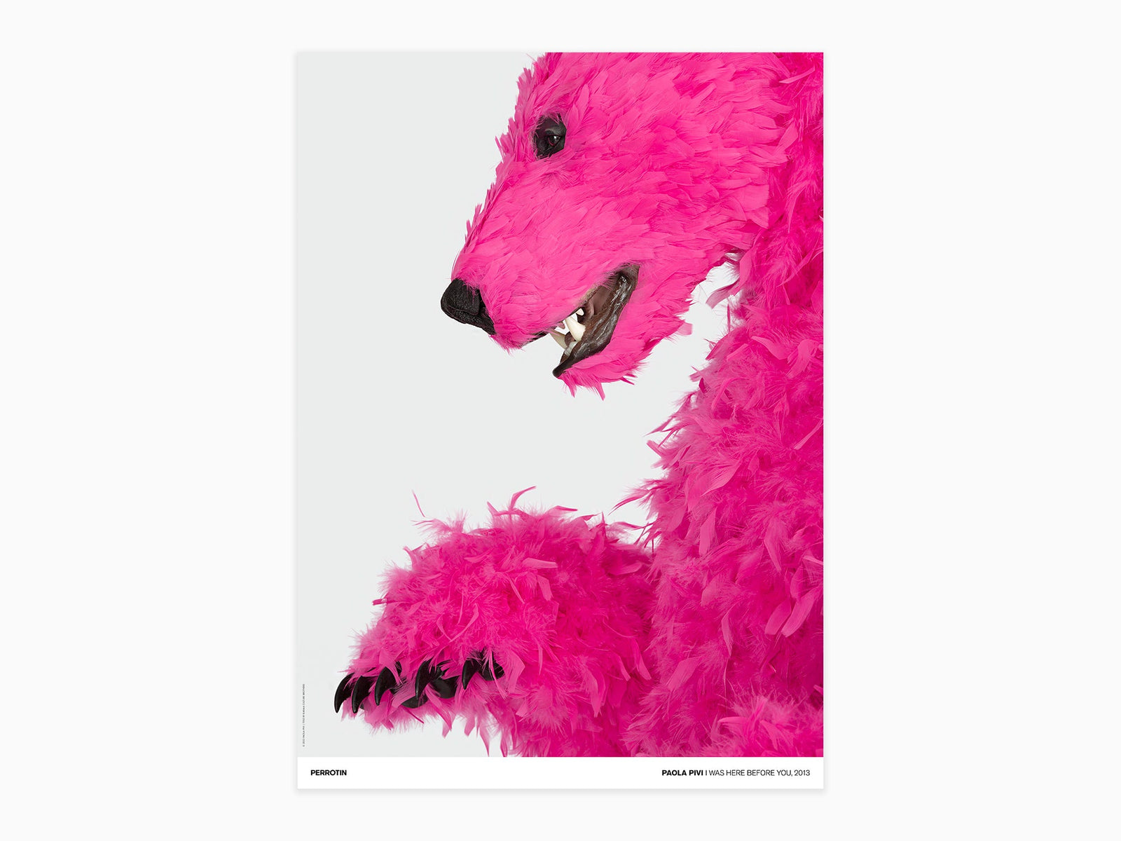 Paola Pivi - I Was Here Before You, 2013 (standard poster)