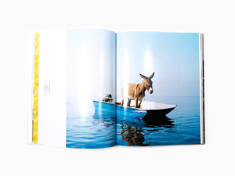 Paola Pivi - Perrotin monograph