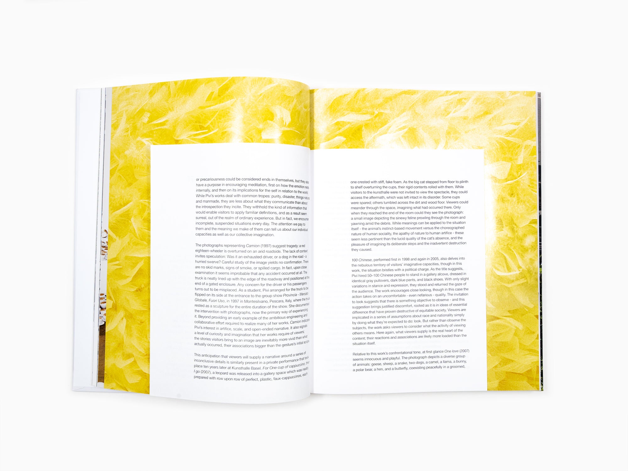 Paola Pivi - Perrotin monographie