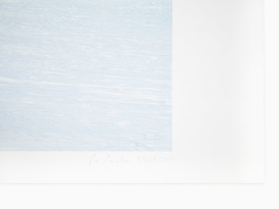 Paola Pivi - Untitled (Zebras)