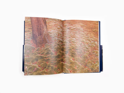 Pierre Soulages - Catalogue Perrotin (Soulages au Japon)