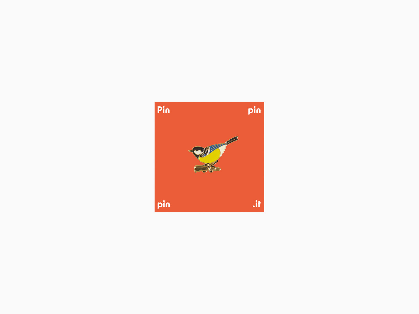 Pin's Titmouse - Moscow collection