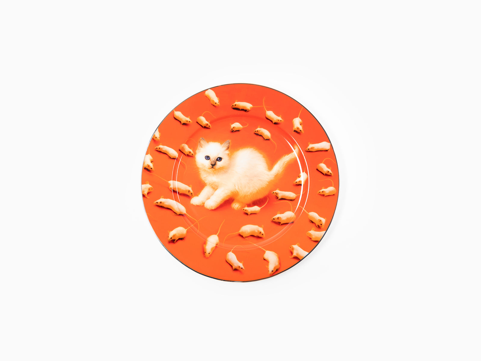 Seletti wears Toiletpaper - porcelain plate gold border Kitten