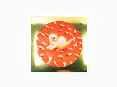 Seletti wears Toiletpaper - porcelain plate gold border Kitten