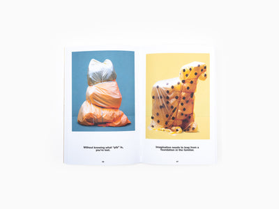 SerraGlia - Je croyais que c'était de l'amour, mais ce n'était qu'un barbecue