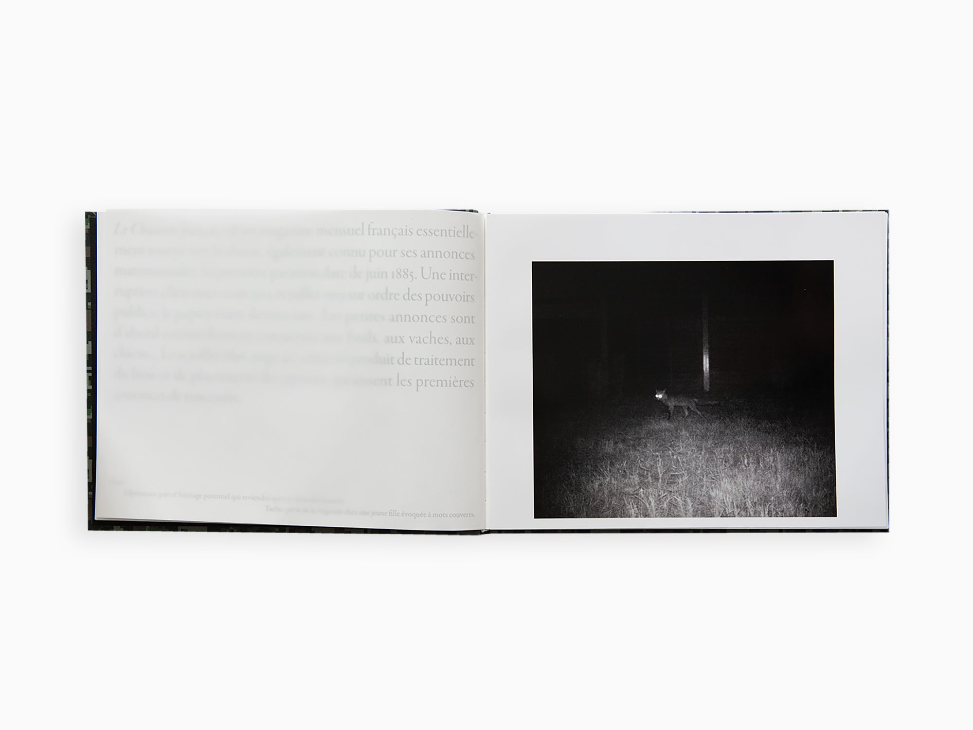 Sophie Calle - On the Hunt (french edition)
