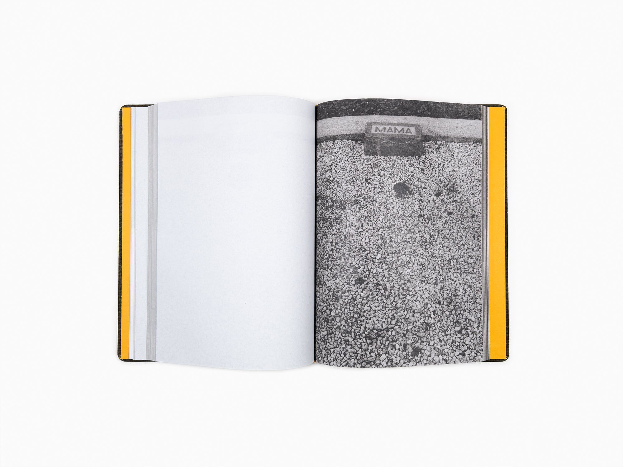 Sophie Calle - Que faites vous de vos morts? (new ed)