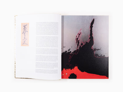 Takashi Murakami - Enso 2