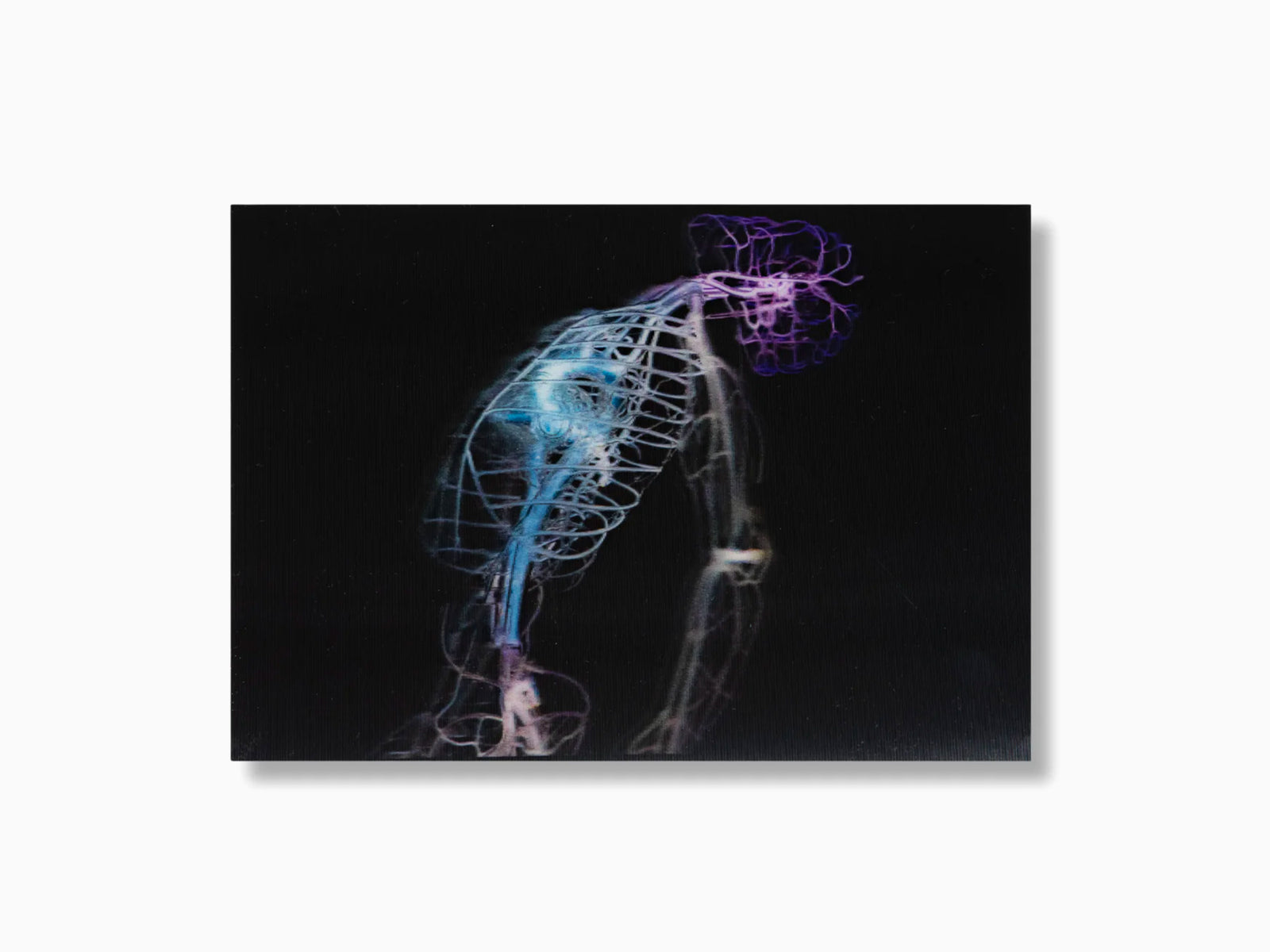 Tavares Strachan - Robert Lenticular postcard