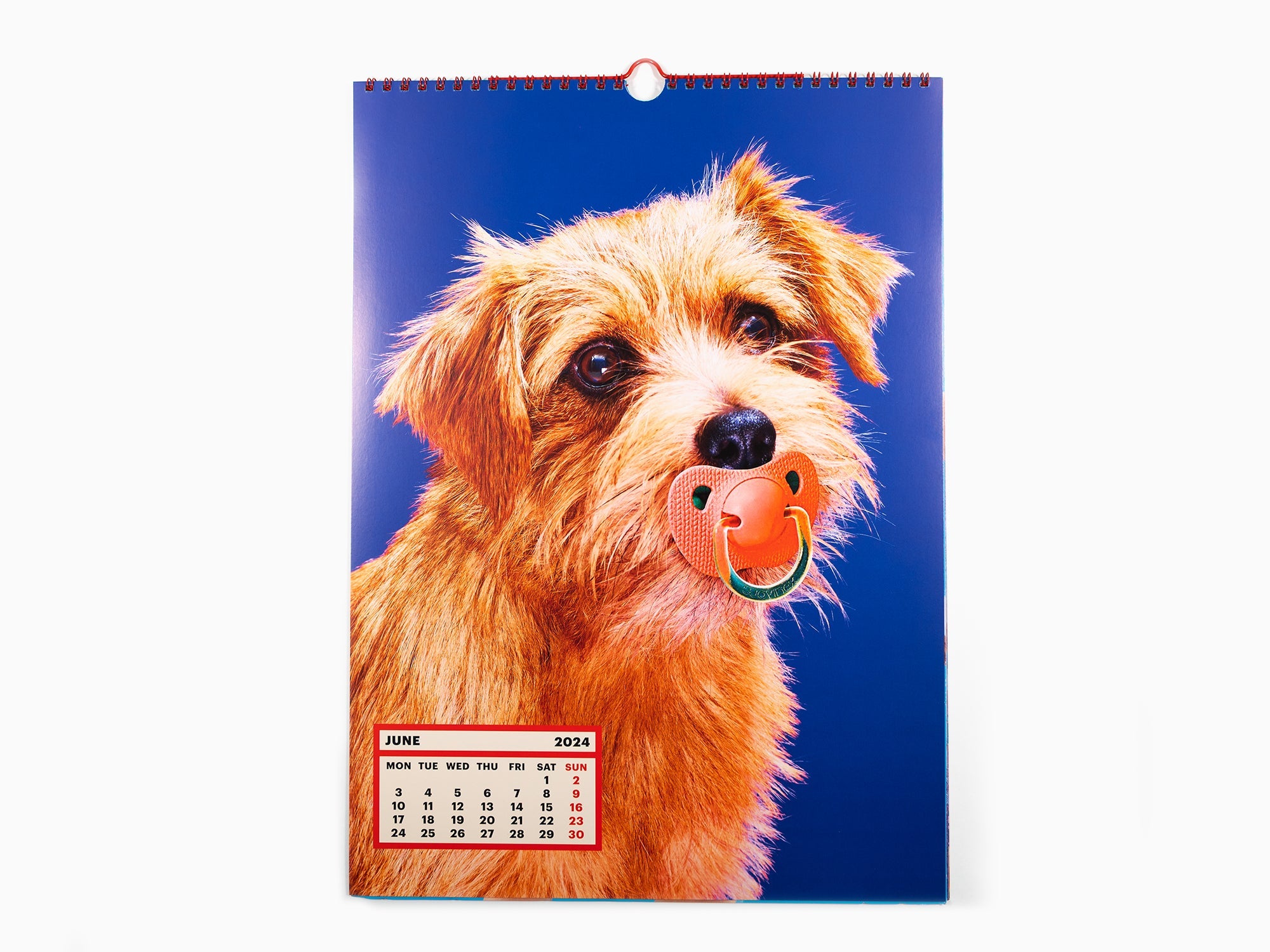 Toiletpaper - 2024 Calendar