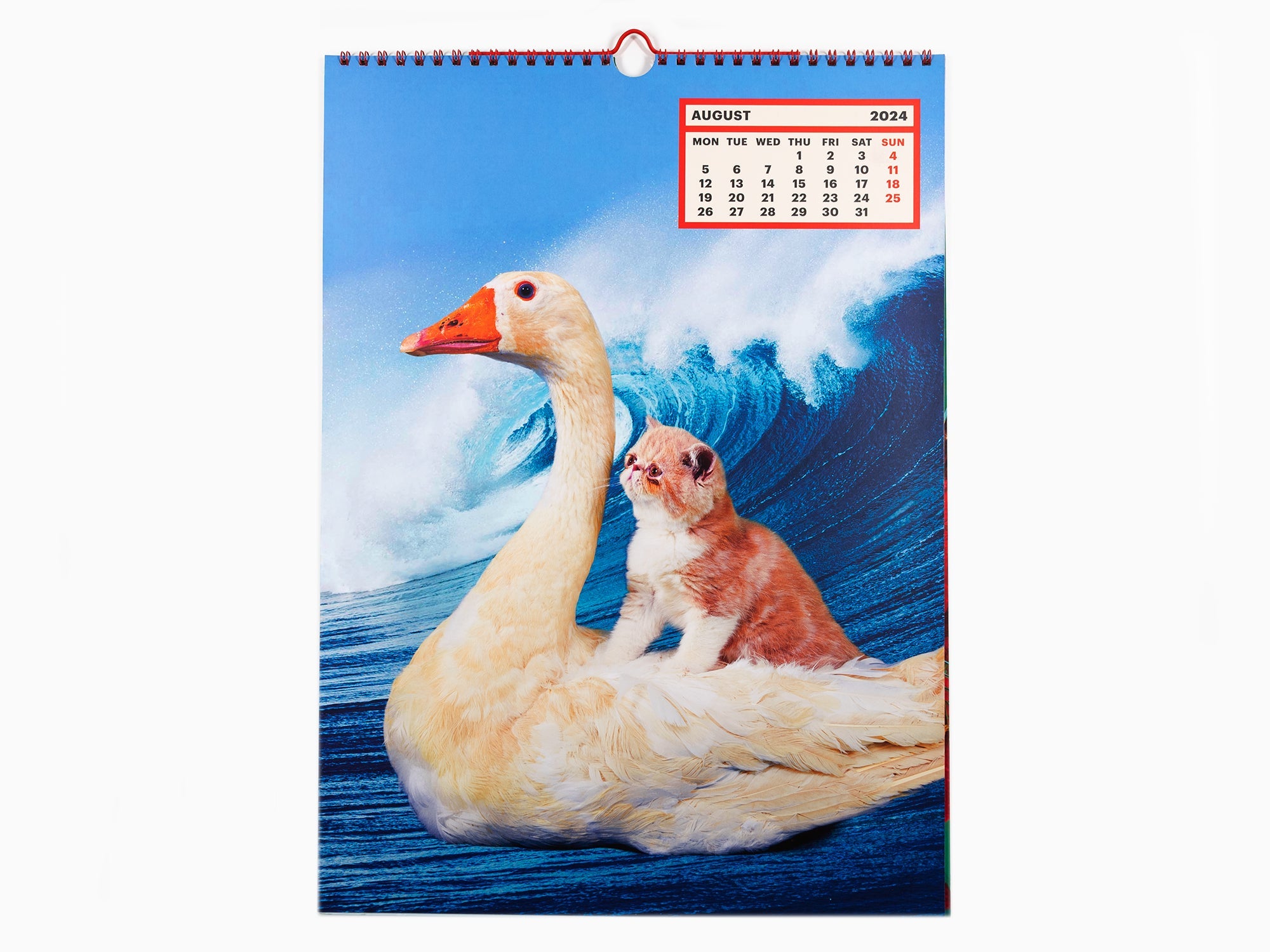 Toiletpaper - 2024 Calendar