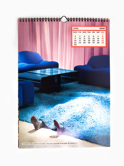 Toiletpaper - 2025 Calendar