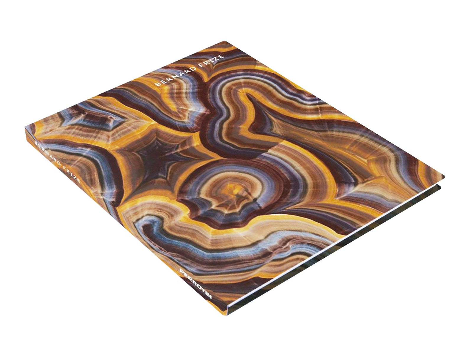 Bernard FRIZE - Perrotin monograph