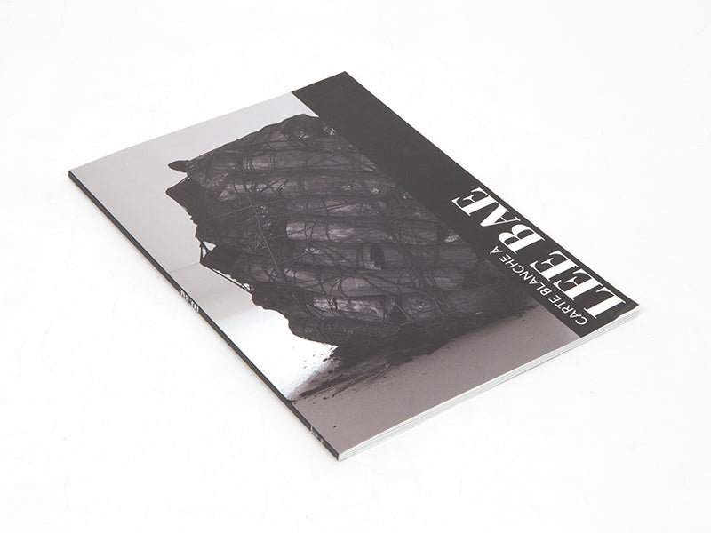 Lee Bae - Carte blanche a Lee Bae (Musee Guimet)