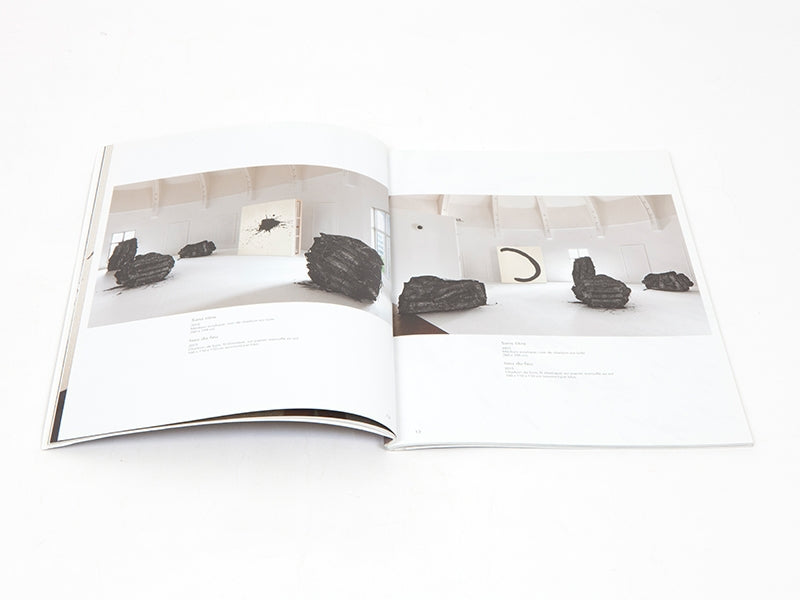 Lee Bae - Carte blanche a Lee Bae (Musee Guimet)