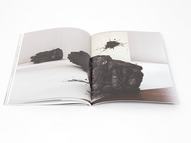 Lee Bae - Carte blanche a Lee Bae (Musee Guimet)