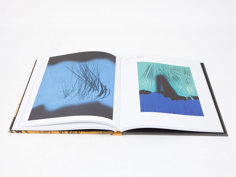 Hans Hartung - Hans Hartung et les peintres lyriques