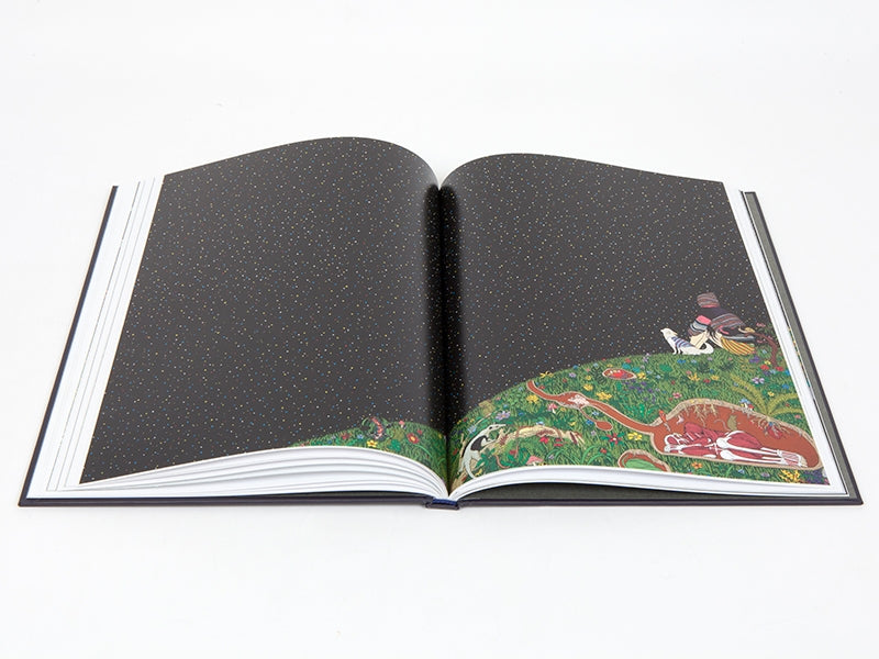 Chen Fei - catalogue Distanz