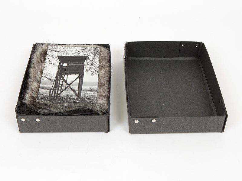 Sophie Calle - Les fanfares de circonstance