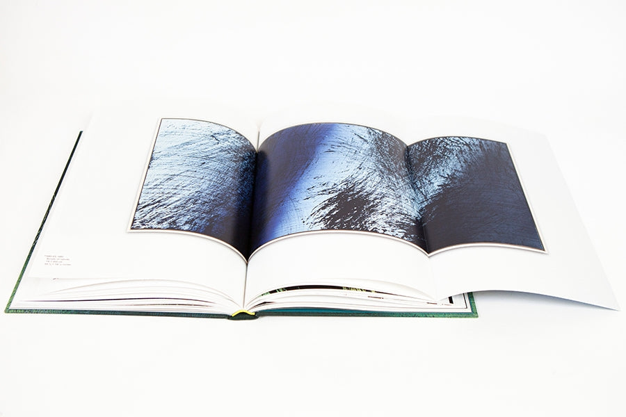 Hans Hartung - A constant storm (cat GEP)