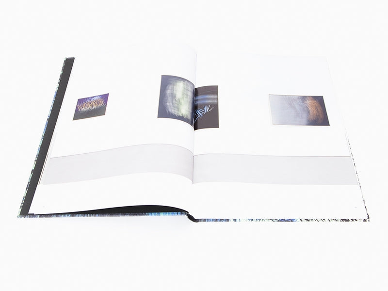 Hans Hartung - Catalogue GEP/Simon Lee