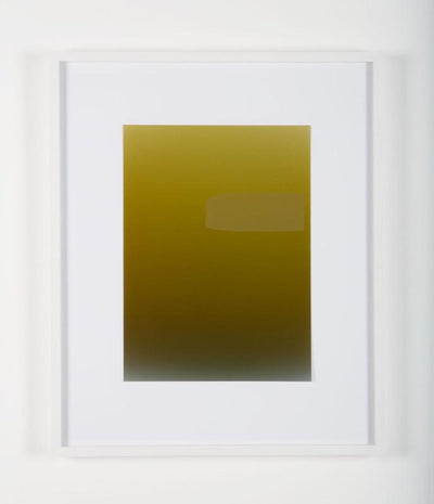 Pieter VERMEERSCH - Untitled (C print et sérigraphie khaki)