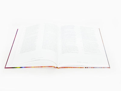 Bernard Frize - Sans repentir (Catalogue Pompidou)