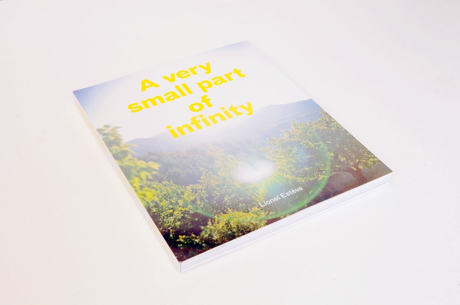 Lionel ESTEVE - A Very Small Part of Infinity