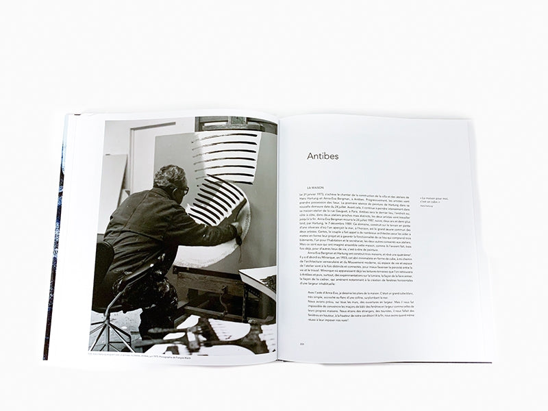 Pierre Wat - Hans Hartung La peinture pour memoire