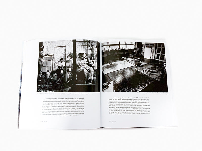 Pierre Wat - Hans Hartung La peinture pour memoire