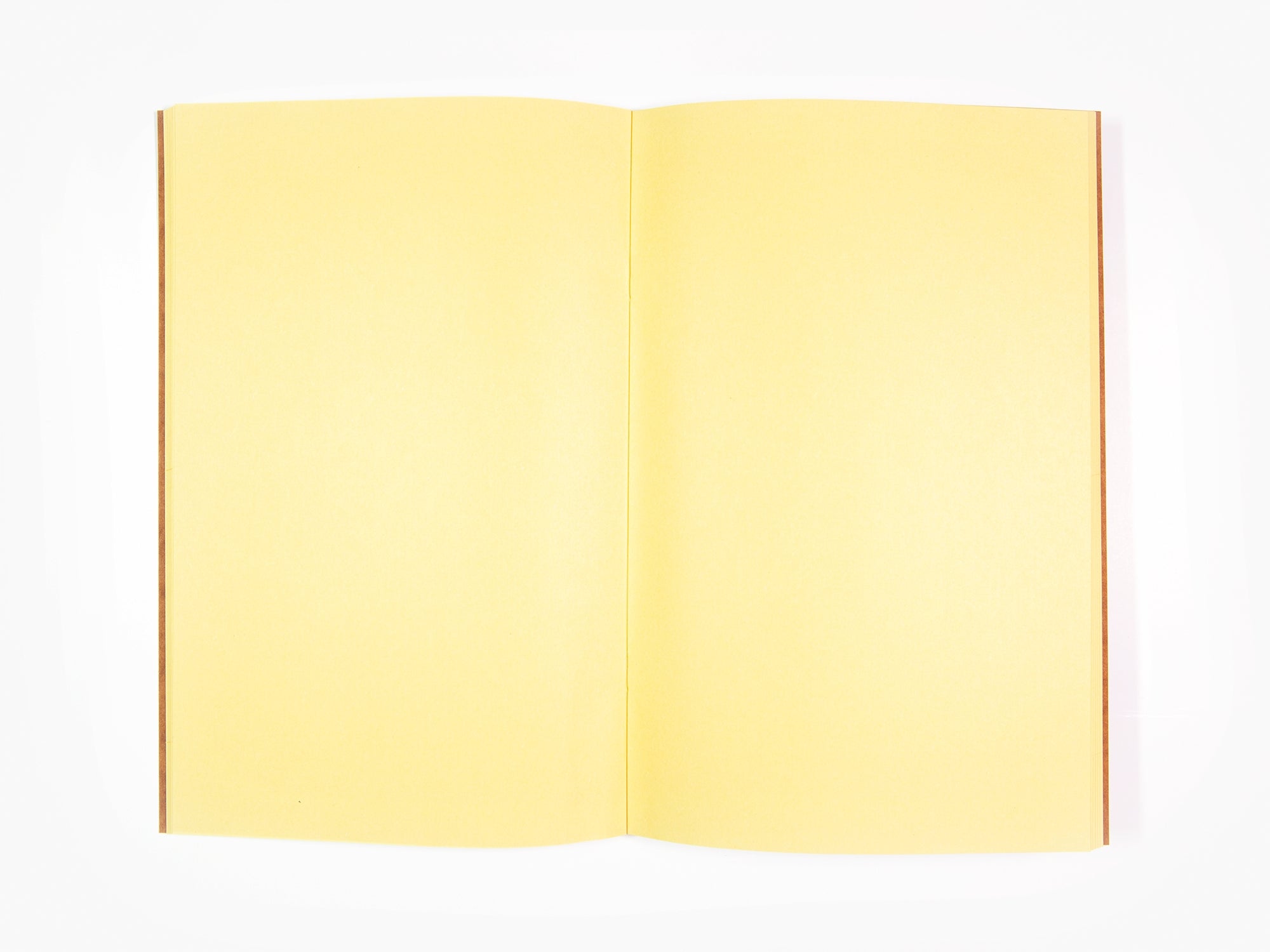 Izumi Kato - Carnet brun (Figure)