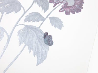 Laurent Grasso - Future Herbarium, Gerbera (blue & silver)
