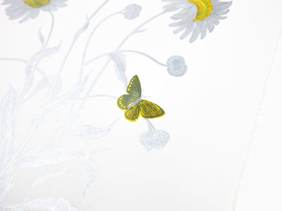 Laurent Grasso - Future Herbarium Bellis Pyrinaea (yellow & silver)