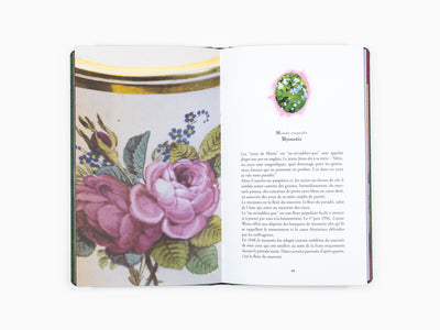 Jean-Michel Othoniel - L'herbier merveilleux notes sur le sens caché des fleurs dans la peinture (ed. 2015)
