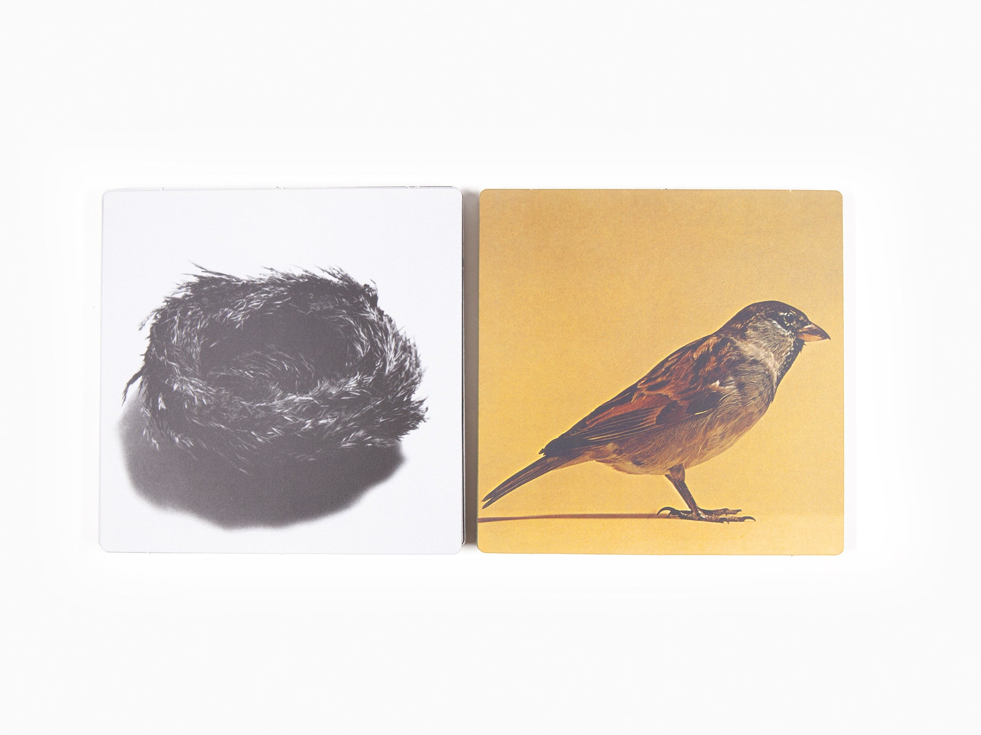 Bruno Munari et Giovanni Belgrano - Immagini della realta / Images of reality