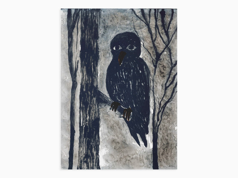 Klara Kristalova - En fågel I skogen / A Bird in the Woods