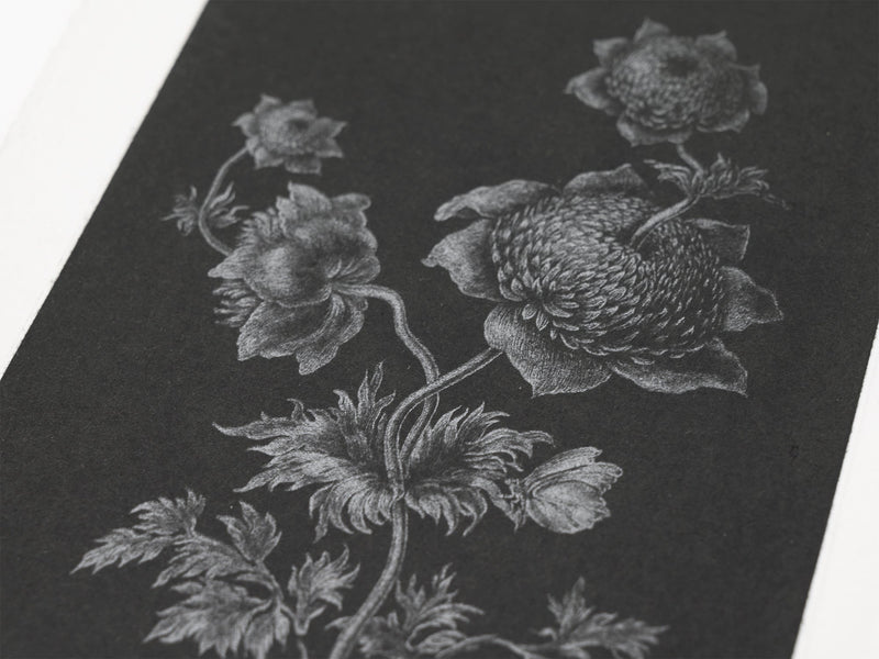 Laurent Grasso - Future Herbarium (black)