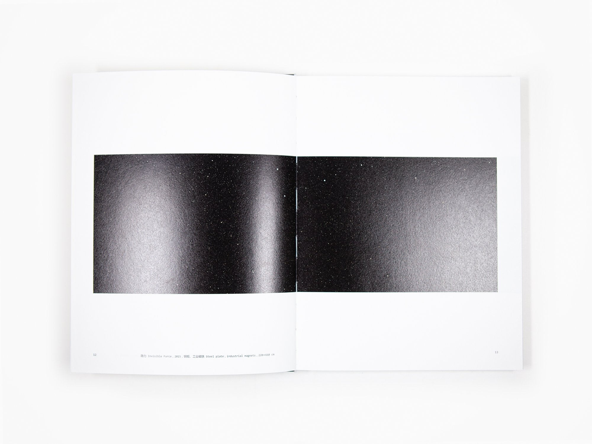 Ni Youyu - Invisible Force