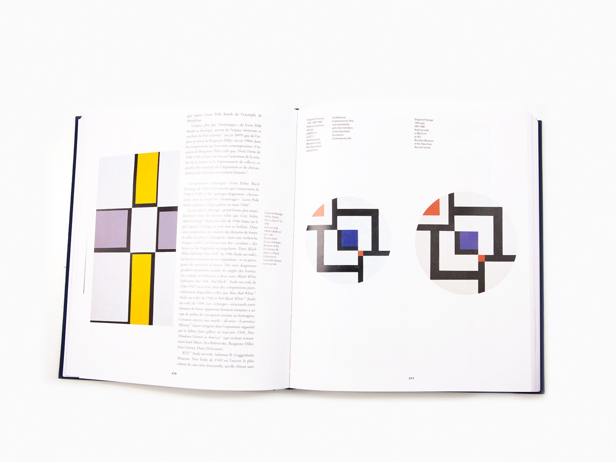 Claudine Humblet - La Nouvelle abstraction américaine