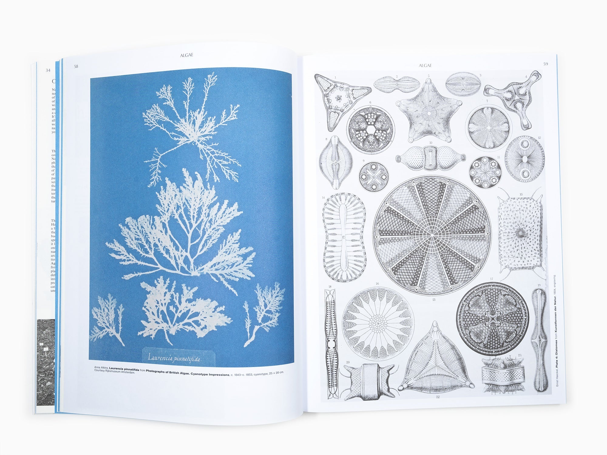 On the necessity of gardening - An art of botany and cultivation